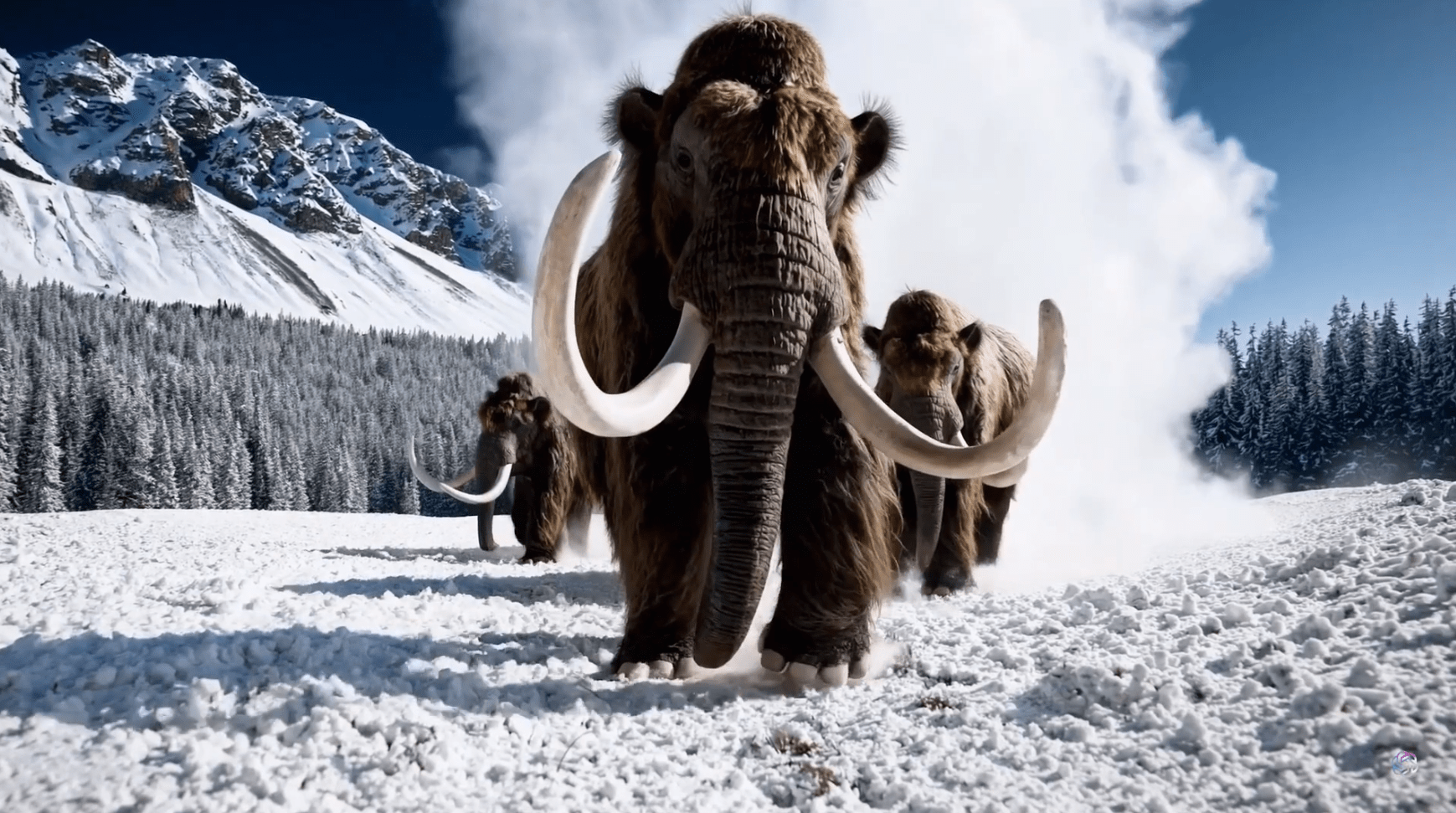 Prompt: Several giant wooly mammoths approach treading through a snowy meadow, their long wooly fur lightly blows in the wind as they walk, snow covered trees and dramatic snow capped mountains in the distance, mid afternoon light with wispy clouds and a sun high in the distance creates a warm glow, the low camera view is stunning capturing the large furry mammal with beautiful photography, depth of field.